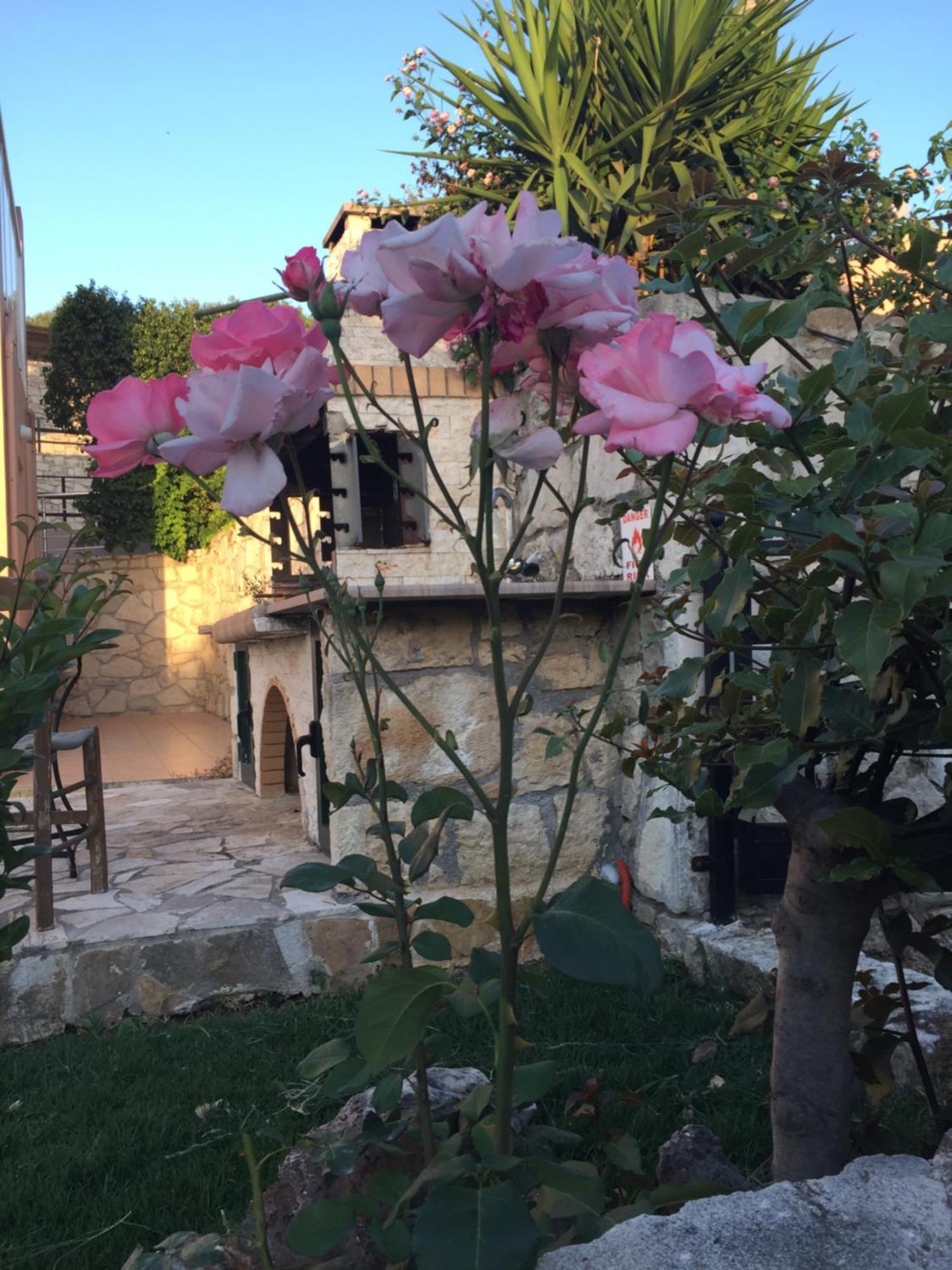 Meliades Villas Agia Marina  Exterior photo