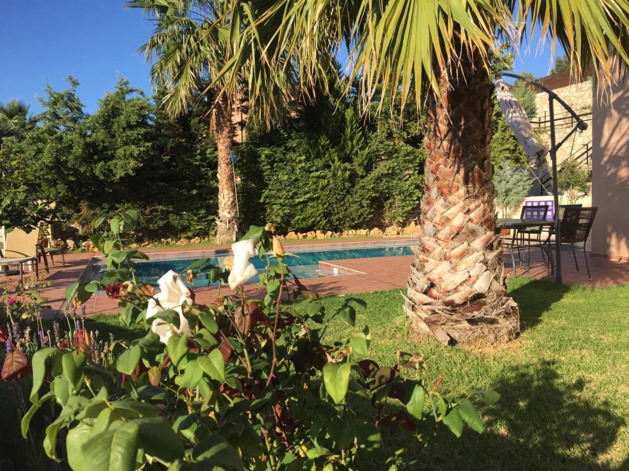 Meliades Villas Agia Marina  Exterior photo